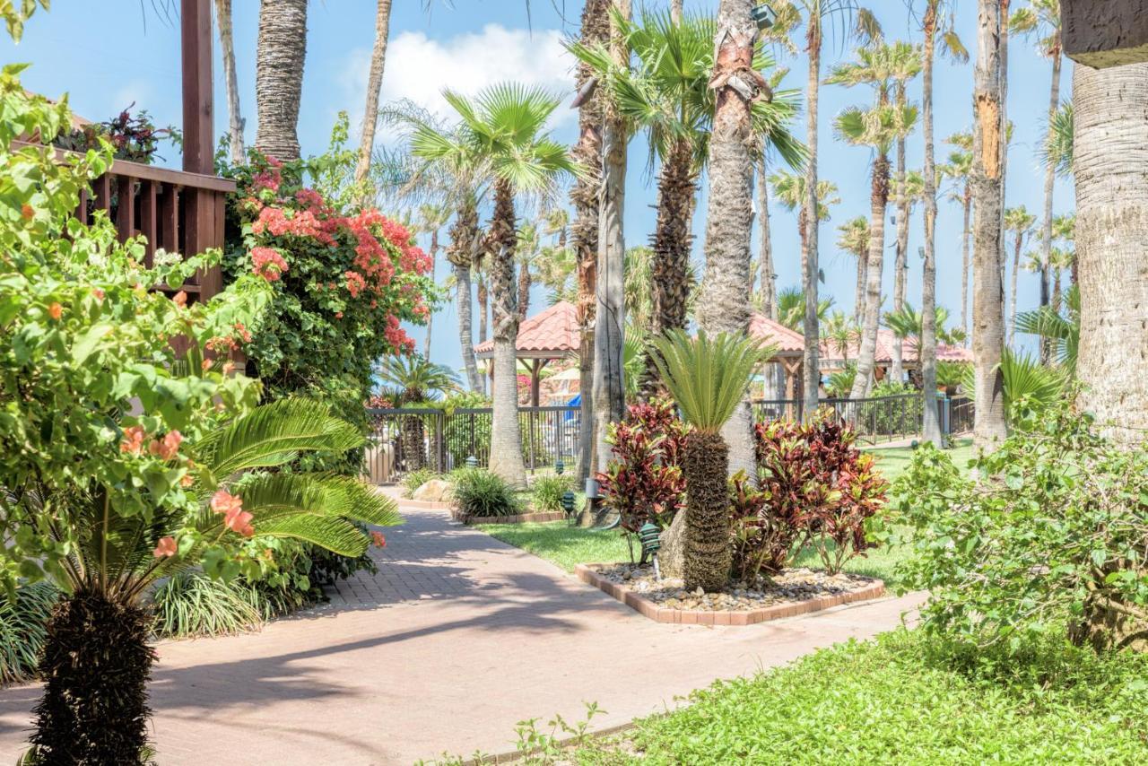 Isla Grand Beach Resort South Padre Island Exterior foto